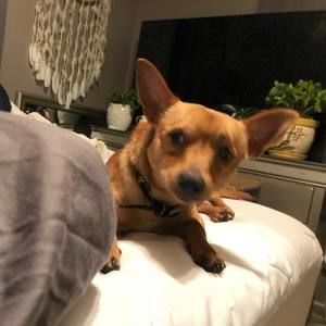 Meet your Posher, Kelby